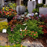 2020 Colorado Garden Home Show Colorado Garden Foundation