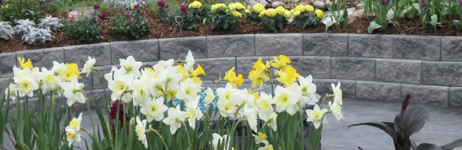 60th Annual Colorado Garden Home Show To Feature First Ever