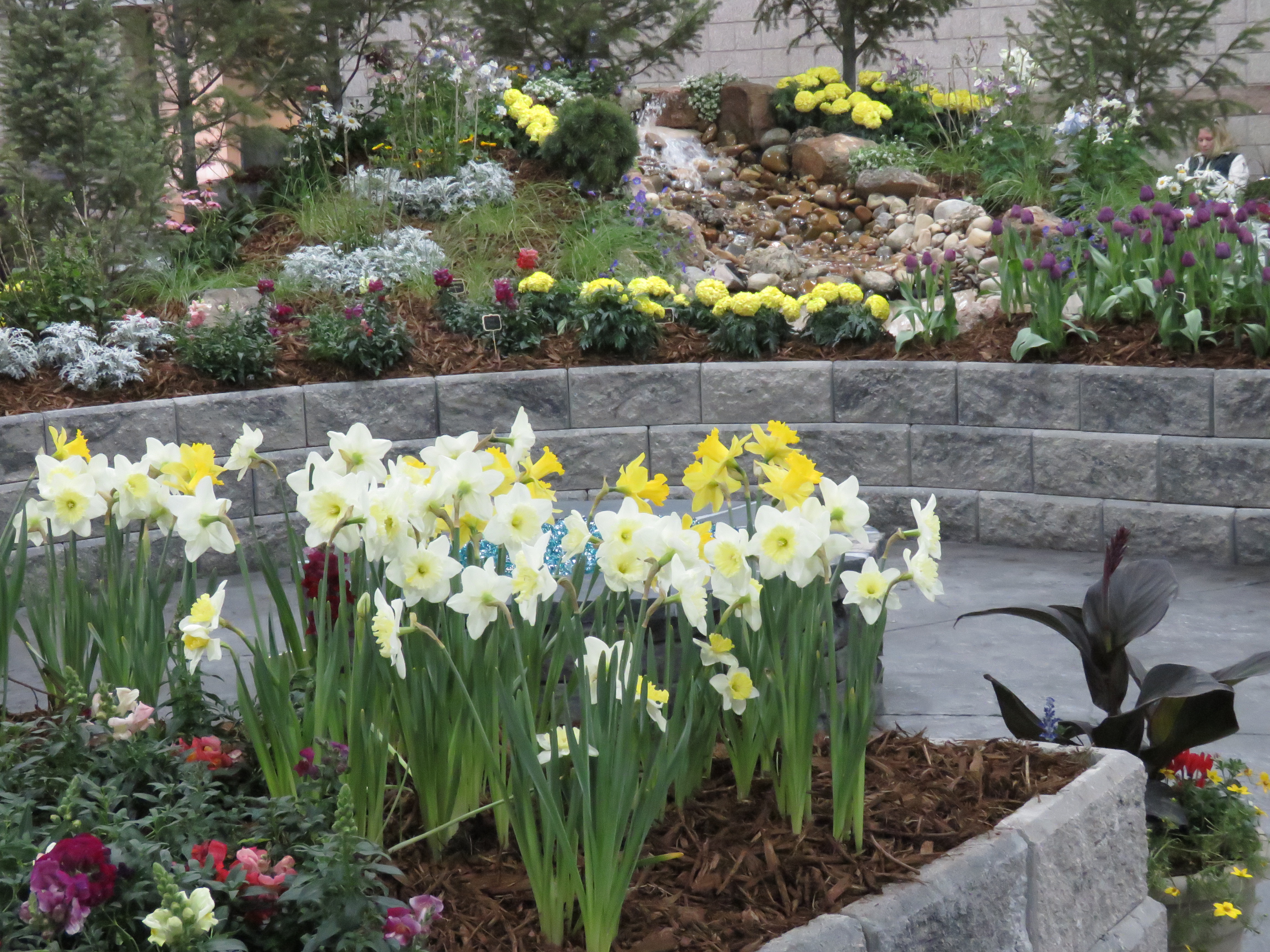 60th Annual Colorado Garden & Home Show to Feature First-Ever Accessible Garden