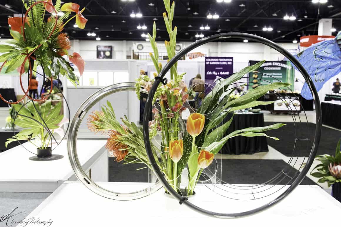 Colorado Garden & Home Show Offers Indoor Plant Sale, Flower Show, Flower Sale and Flower Deliveries to Area Nursing Homes