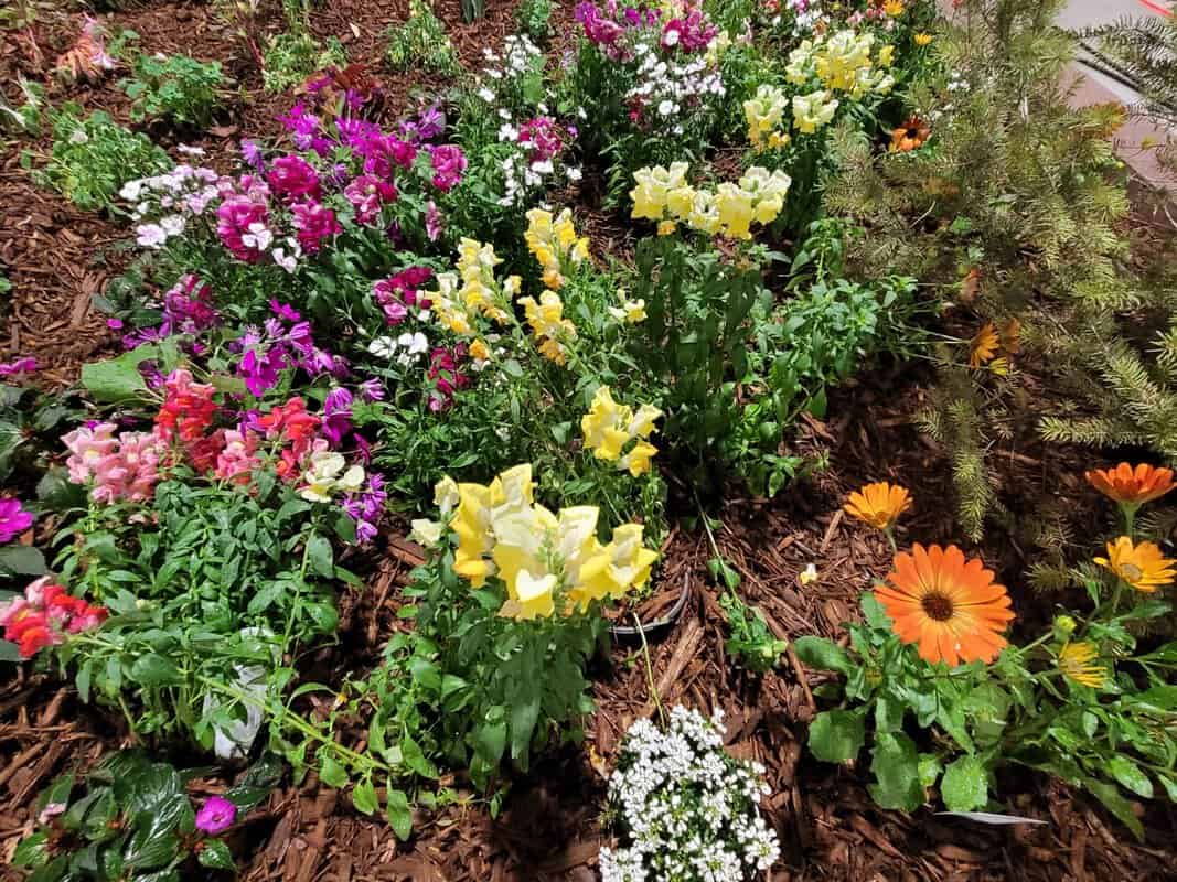 Explore and Discover the Colorado Garden & Home Show