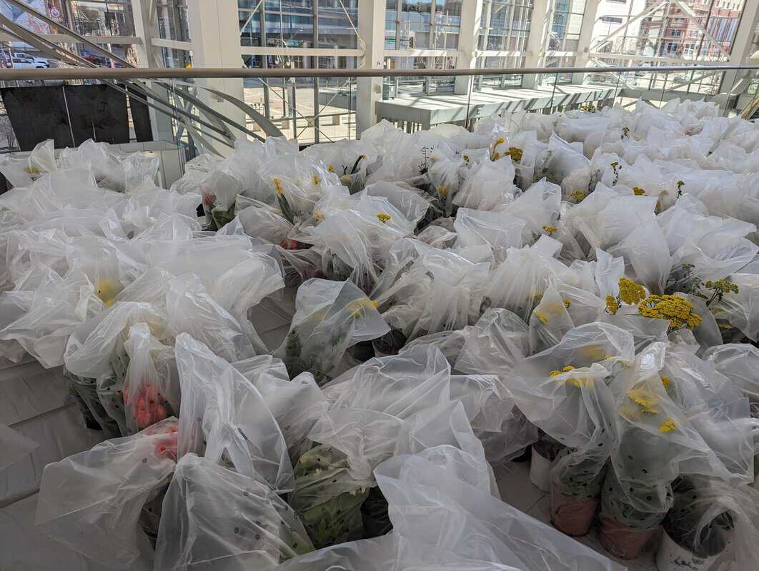 Colorado Garden & Home Show Offers Indoor Plant Sale, Flower Show, Flower Sale and Flower Deliveries